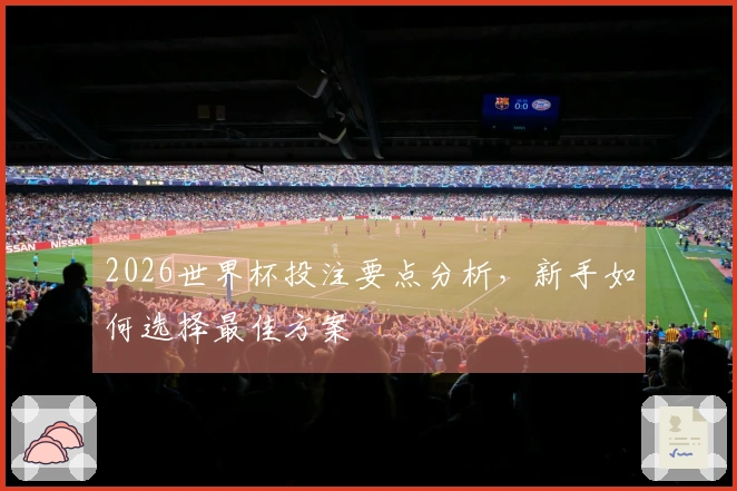 2026世界杯投注要点分析，新手如何选择最佳方案