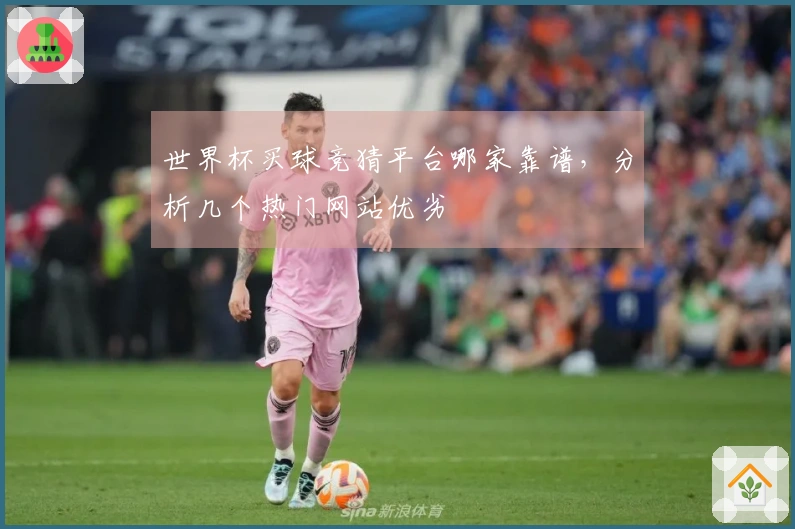 世界杯买球竞猜平台哪家靠谱，分析几个热门网站优劣
