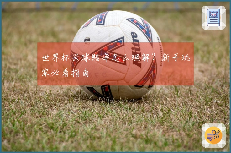 世界杯买球赔率怎么理解？新手玩家必看指南