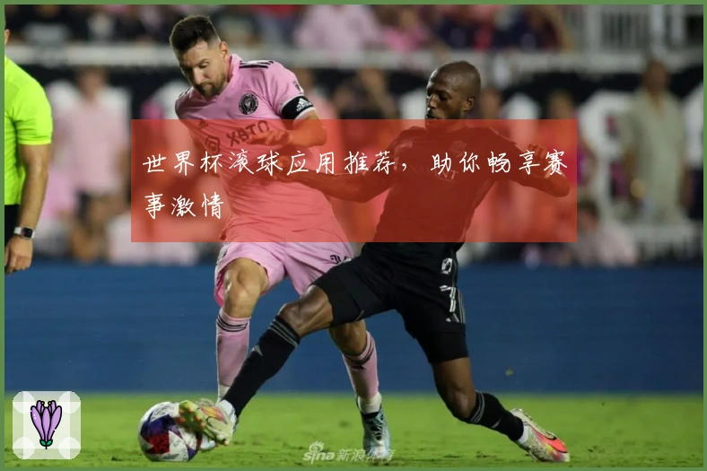 世界杯滚球应用推荐，助你畅享赛事激情