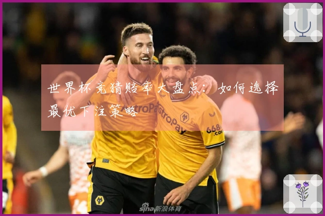 世界杯竞猜赔率大盘点：如何选择最优下注策略