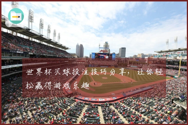 世界杯买球投注技巧分享，让你轻松赢得游戏乐趣