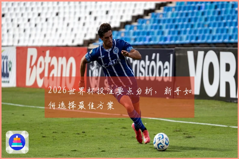 2026世界杯投注要点分析,新手如何选择最佳方案