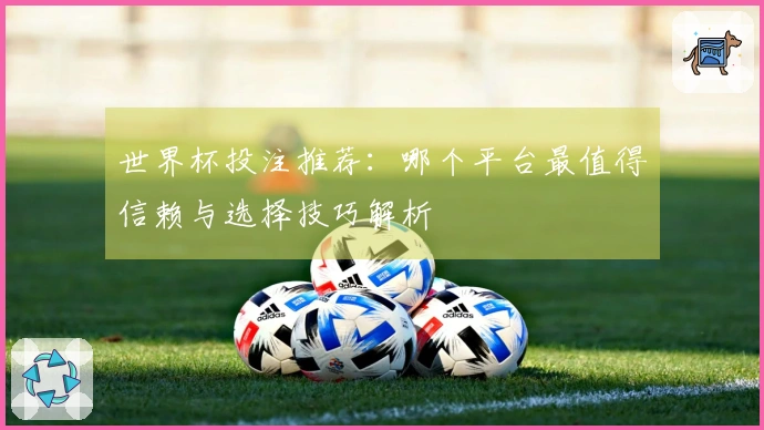 世界杯投注推荐：哪个平台最值得信赖与选择技巧解析