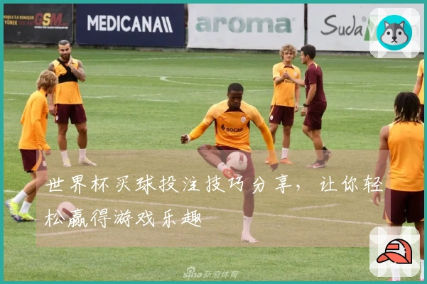世界杯买球投注技巧分享，让你轻松赢得游戏乐趣