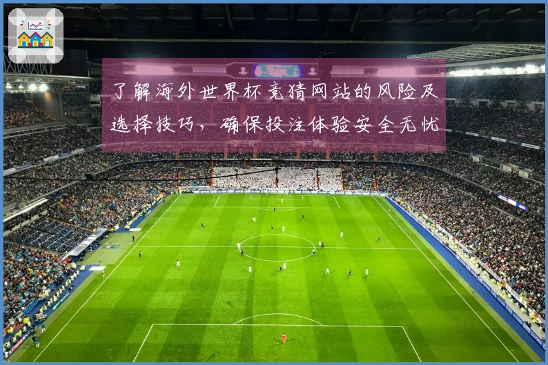 了解海外世界杯竞猜网站的风险及选择技巧，确保投注体验安全无忧