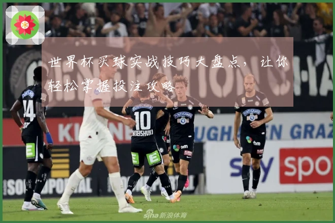 世界杯买球实战技巧大盘点,让你轻松掌握投注攻略