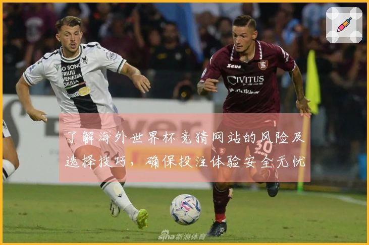 了解海外世界杯竞猜网站的风险及选择技巧，确保投注体验安全无忧