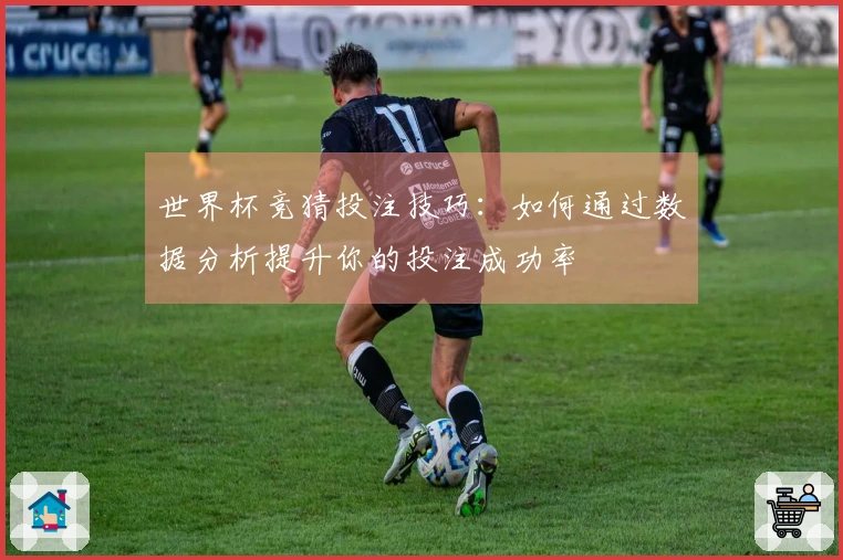 世界杯竞猜投注技巧：如何通过数据分析提升你的投注成功率