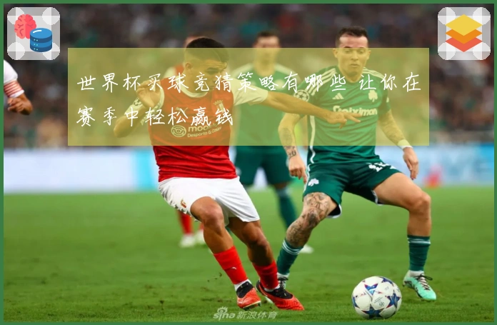 世界杯买球竞猜策略有哪些 让你在赛季中轻松赢钱