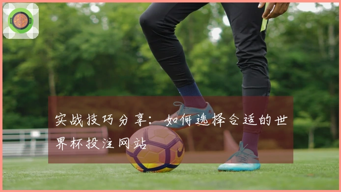 实战技巧分享：如何选择合适的世界杯投注网站